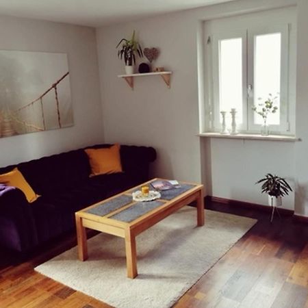 Ferienwohnung Suedschwarzwald Wehr  Exteriér fotografie