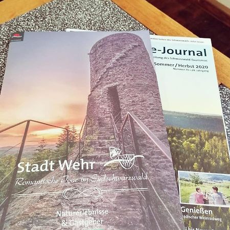 Ferienwohnung Suedschwarzwald Wehr  Exteriér fotografie